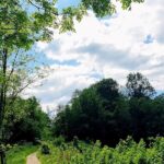 Chemin dans la nature symbolisant la réflexion pour retrouver la direction à suivre dans sa vie